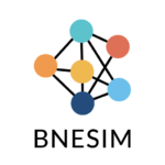BNESIM