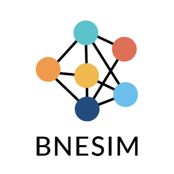 BNESIM eSIM – Review, Test & Promo Code 2026 - MyBestSim