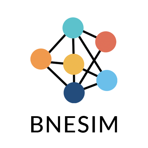 BNESIM