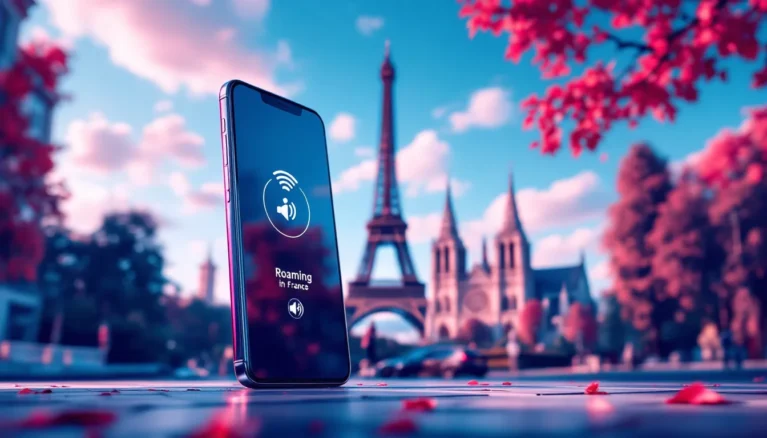 Représenatation de rachat SFR roaming France