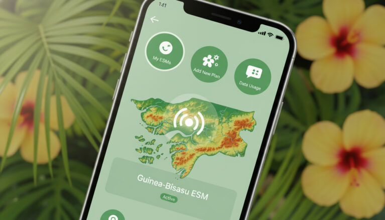 Représenatation de esim Guinée-Bissau intégration