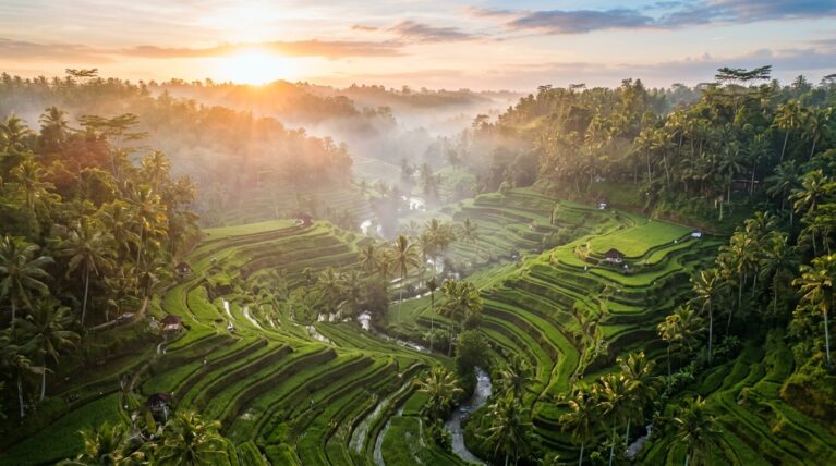 Meilleure eSIM pour l'Indonésie & Bali 2026 🇮🇩