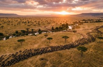Best eSIM for Kenya 2026 🇰🇪