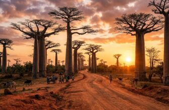 Best eSIM for Madagascar 2026 🇲🇬
