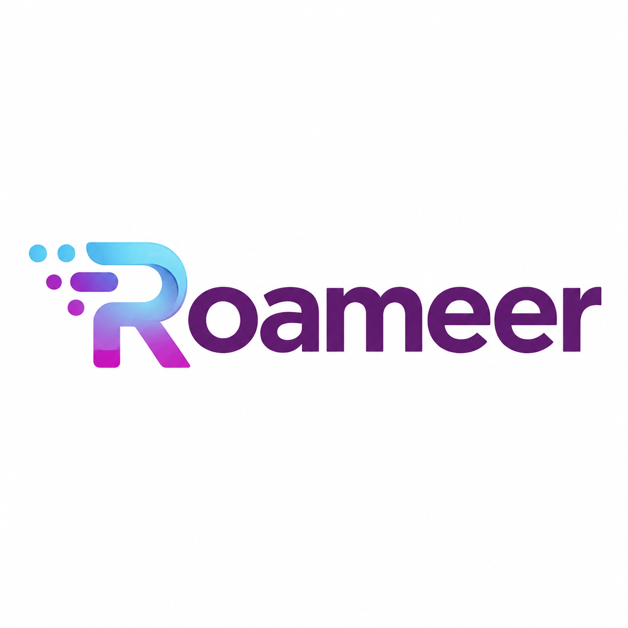 Roameer